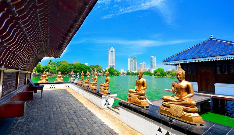 calm-amid-the-chaos-in-colombo-sri-lanka